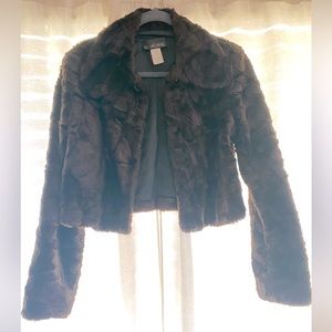 Dark Brown Teddy Cropped faux fur Jacket